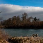 Winterstimmung an der Aare