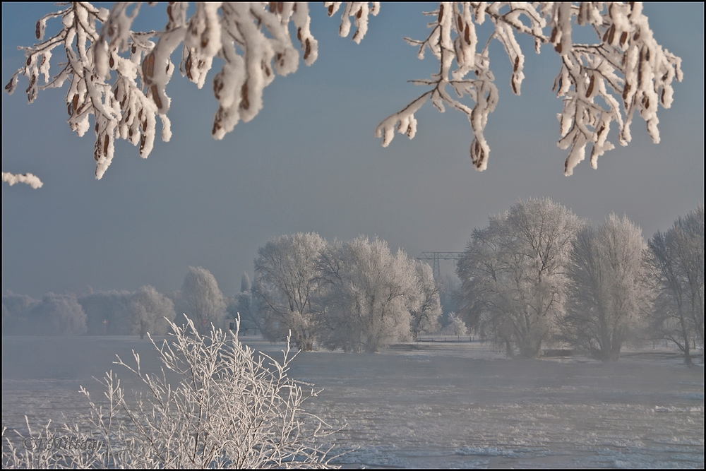 Winterstimmung an der Elbe