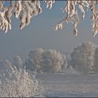 Winterstimmung an der Elbe