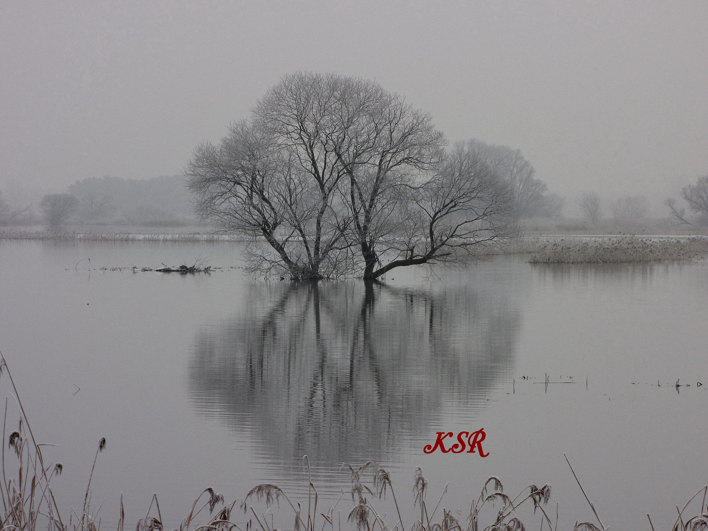 Winterstimmung an der Havel bei Rathenow