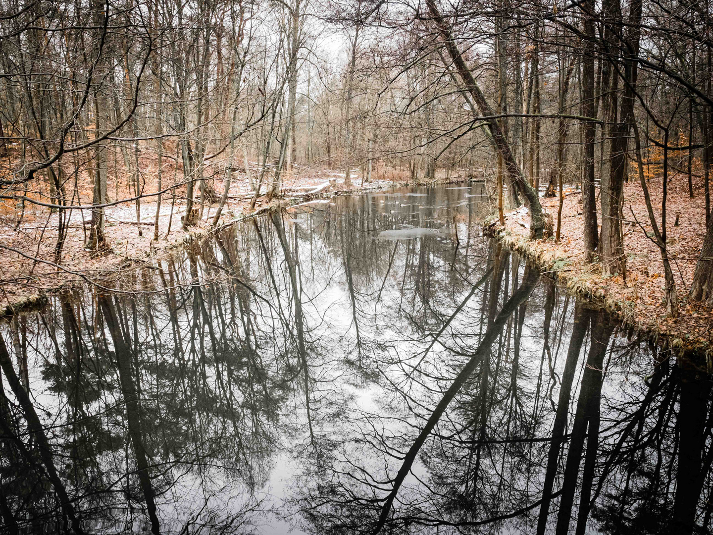 Winterstimmung an der Löcknitz