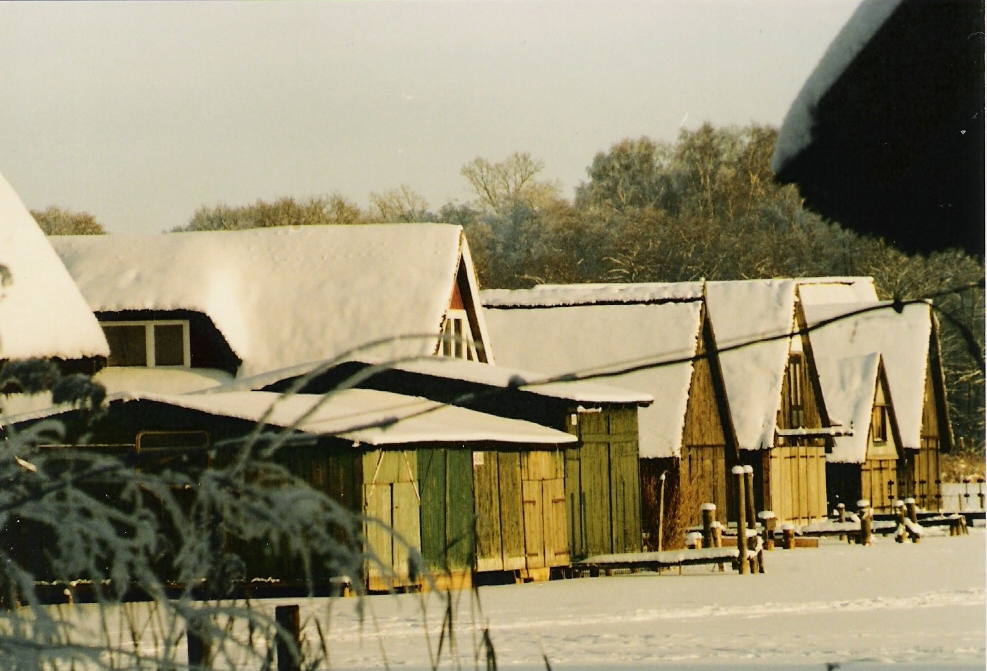 Winterstimmung an der Müritz