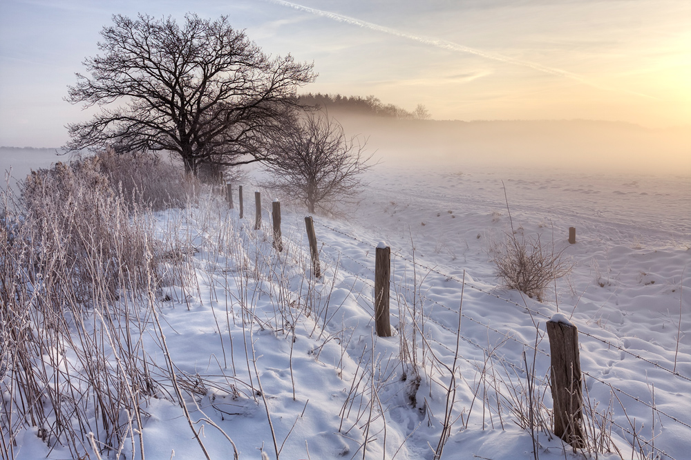 Winterstimmung an der Ruhr 3/3