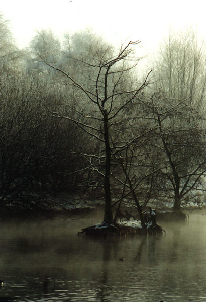 Winterstimmung an der Ruhr