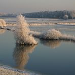 Winterstimmung an der Seege im Wendland.