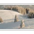 Winterstimmung auf dem Belchen - Nr. 1