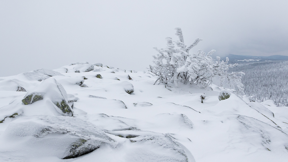 Winterstimmung auf dem Lusen