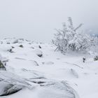 Winterstimmung auf dem Lusen