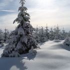 Winterstimmung auf dem Meißner