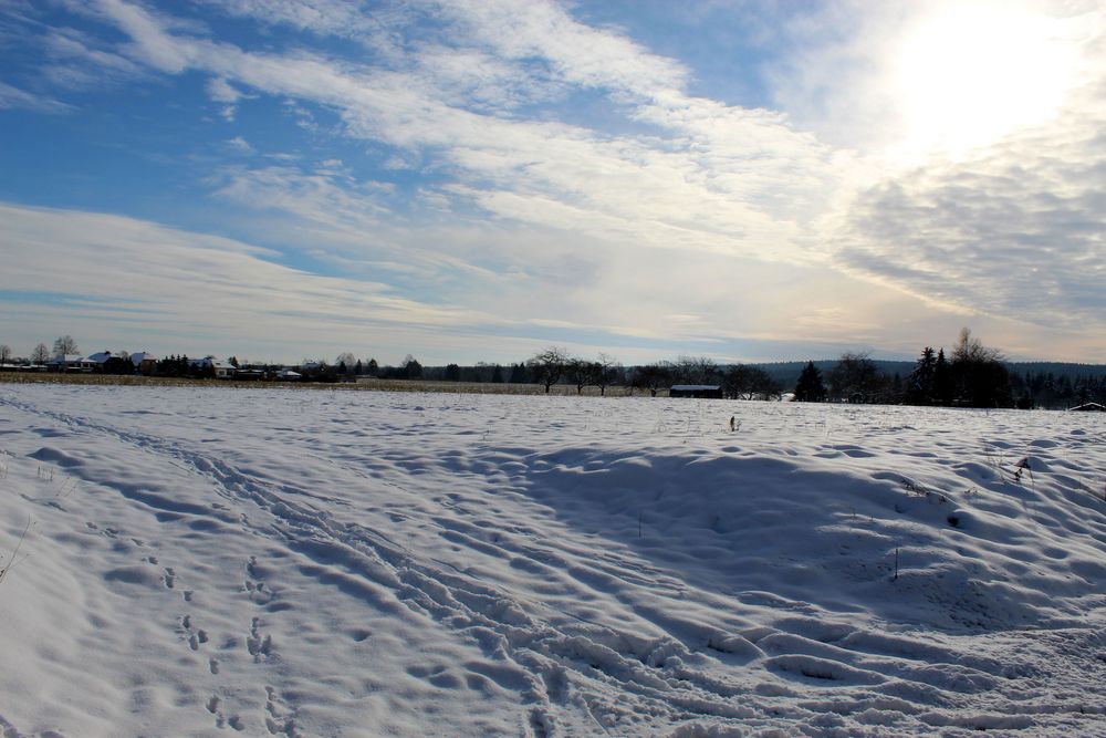 Winterstimmung auf den Feldern