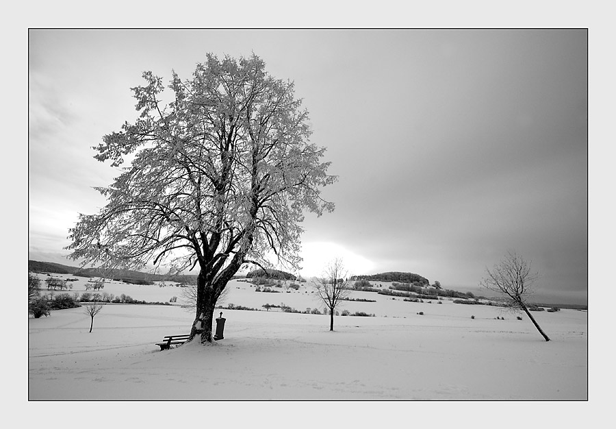 Winterstimmung auf der Alb