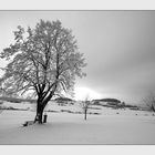 Winterstimmung auf der Alb