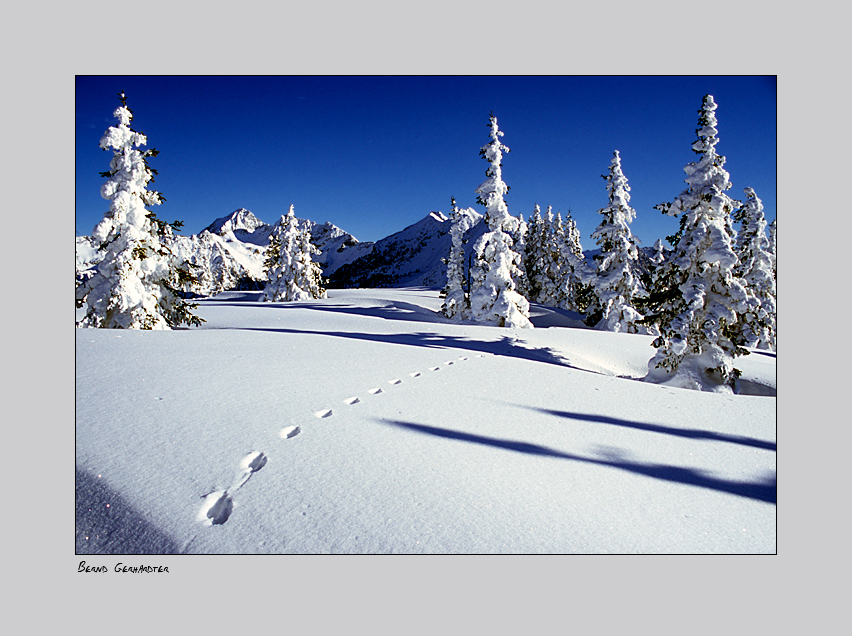 Winterstimmung auf der Planai I