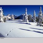 Winterstimmung auf der Planai I