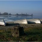 Winterstimmung auf der Reichenau 2