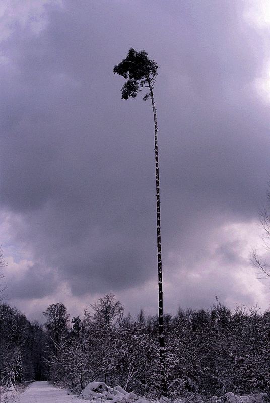 Winterstimmung auf der Solitude 3