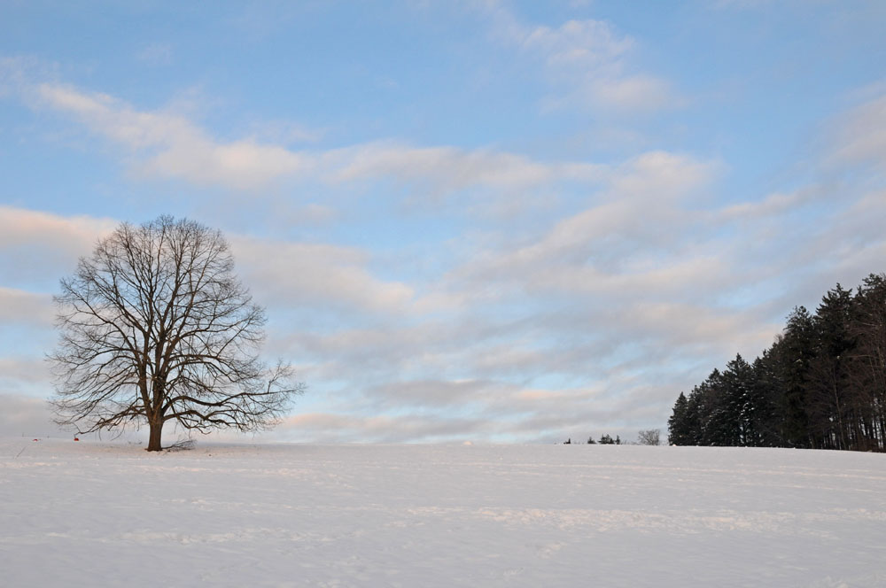 Winterstimmung