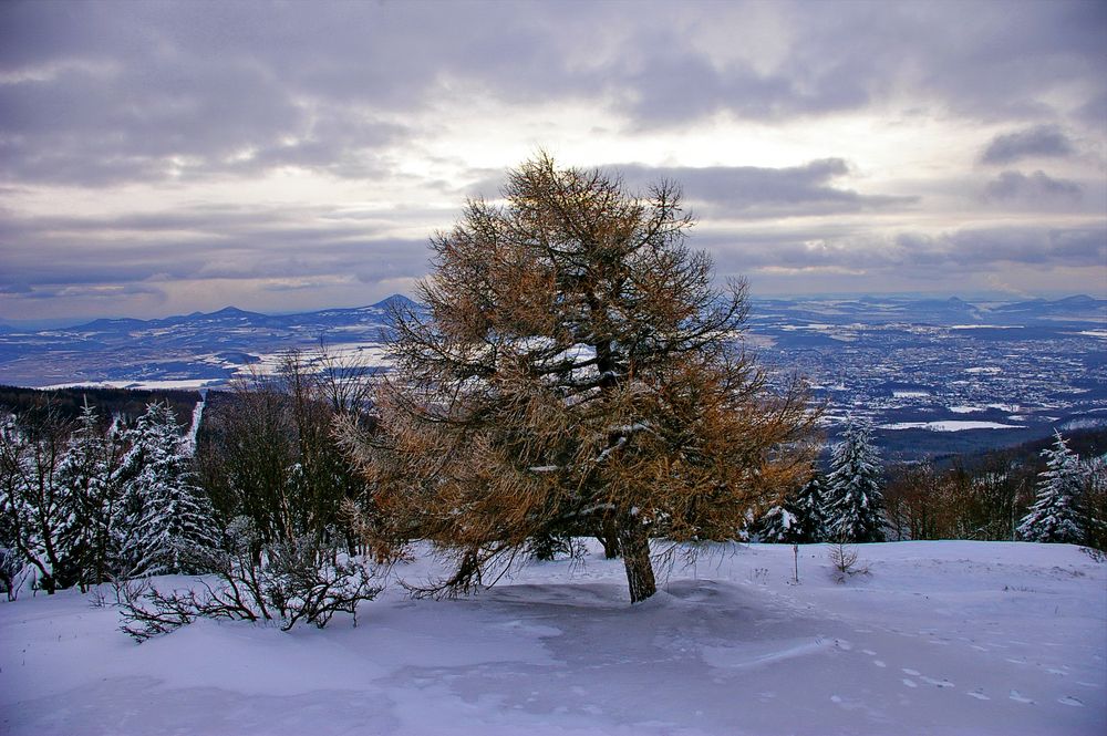 Winterstimmung, bald ist es wieder so weit