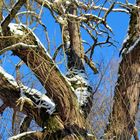 Winterstimmung bei Fürth/Odw.