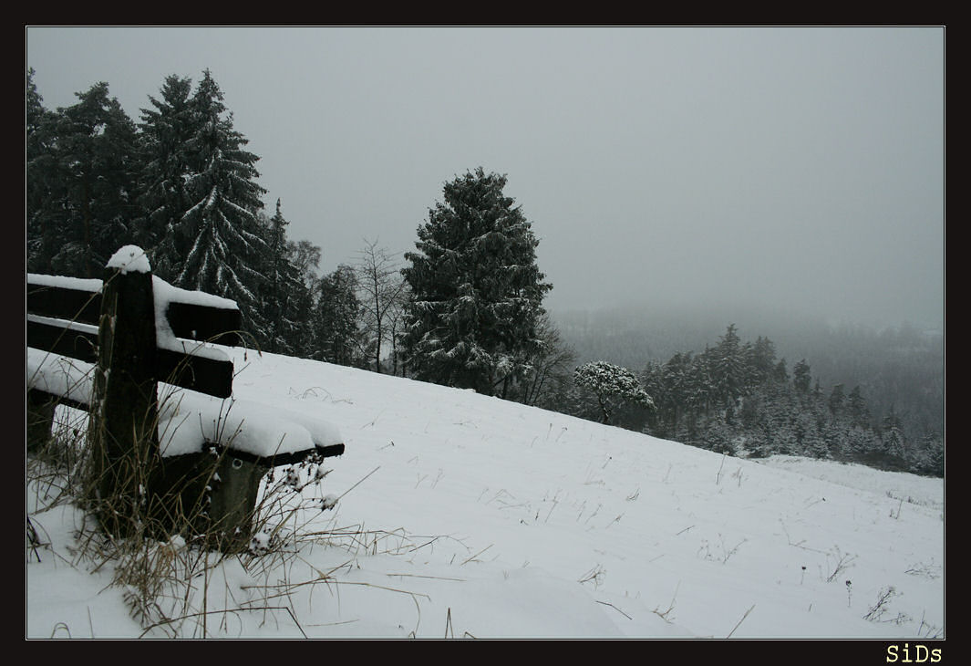 Winterstimmung bei Lositz