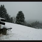 Winterstimmung bei Lositz