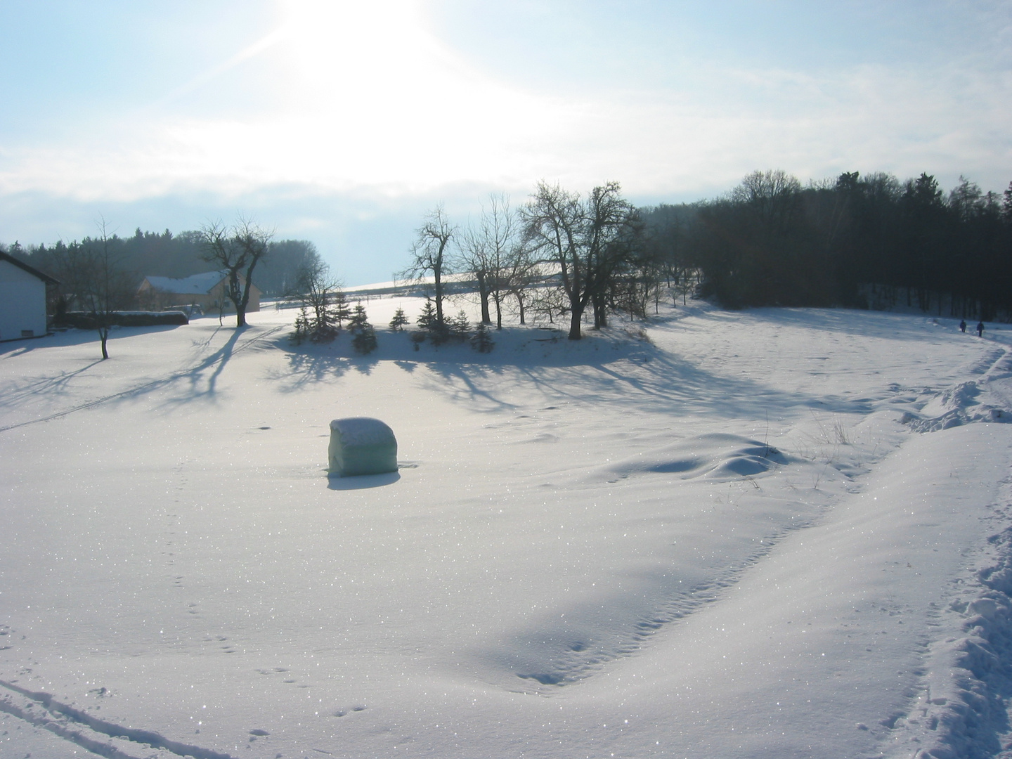 Winterstimmung bei Mengkofen beim IVV-Wandertag 2010 am 31.1.2010