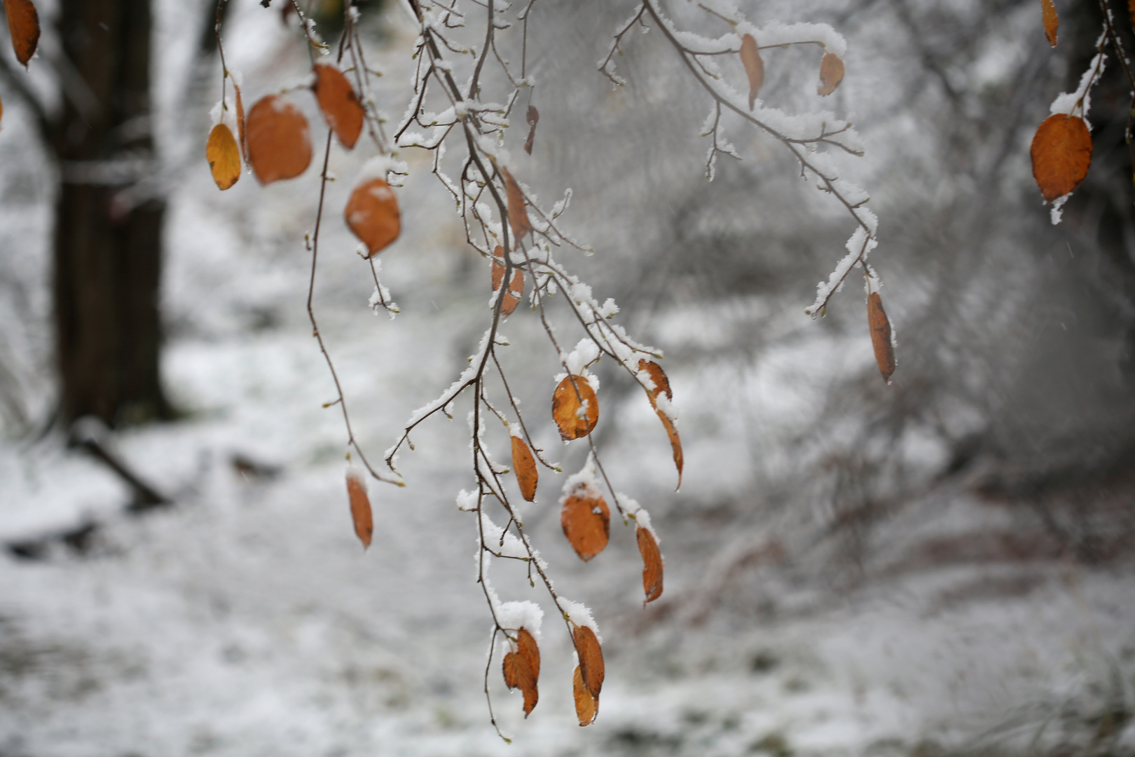 Winterstimmung