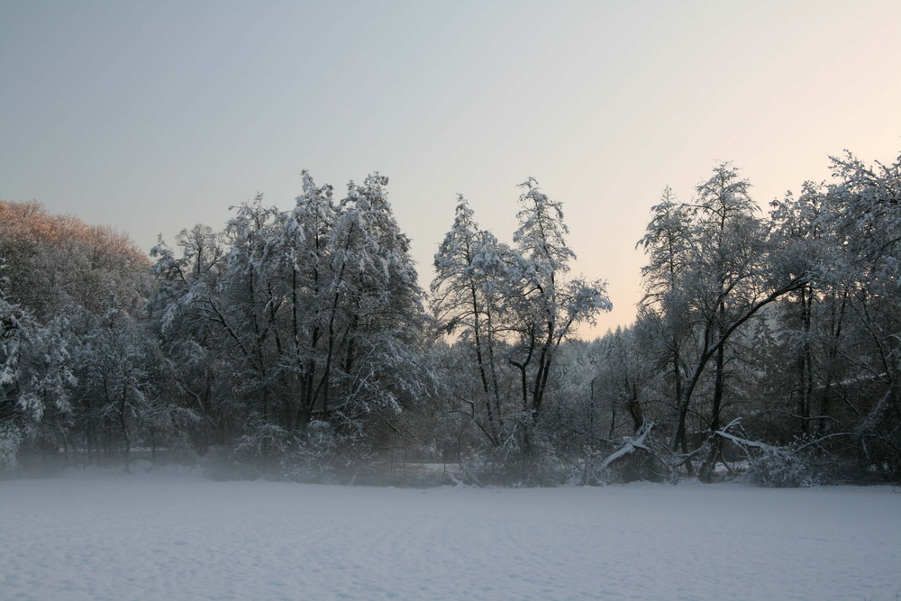 Winterstimmung