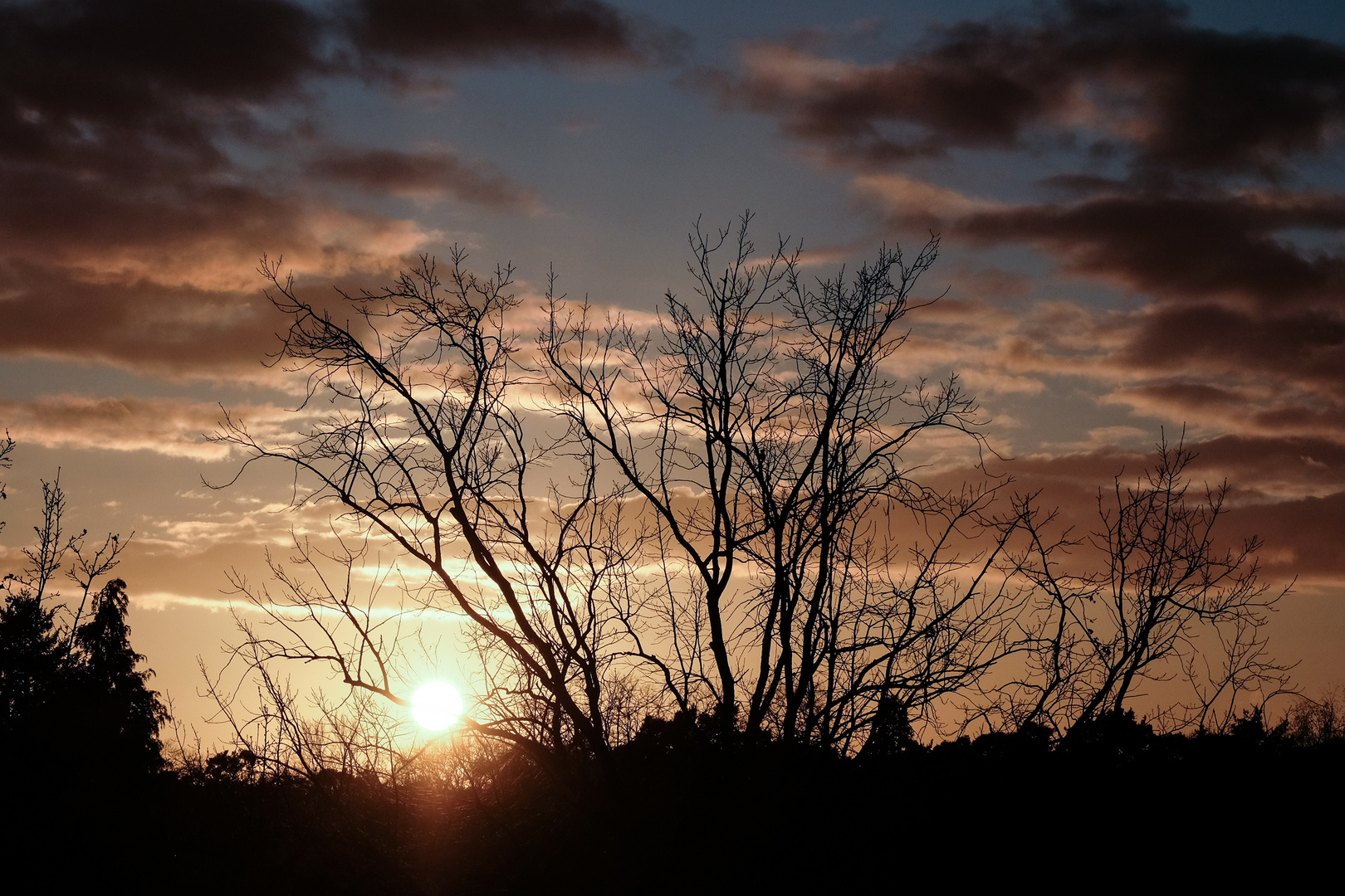 Winterstimmung