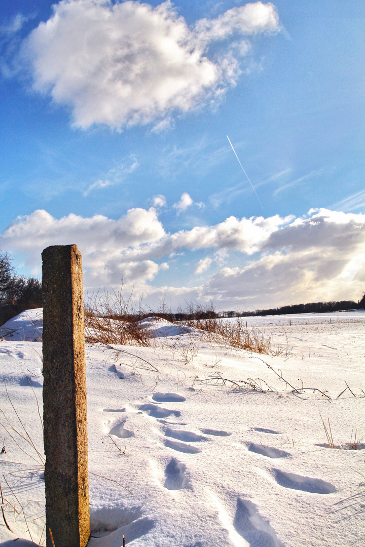 Winterstimmung