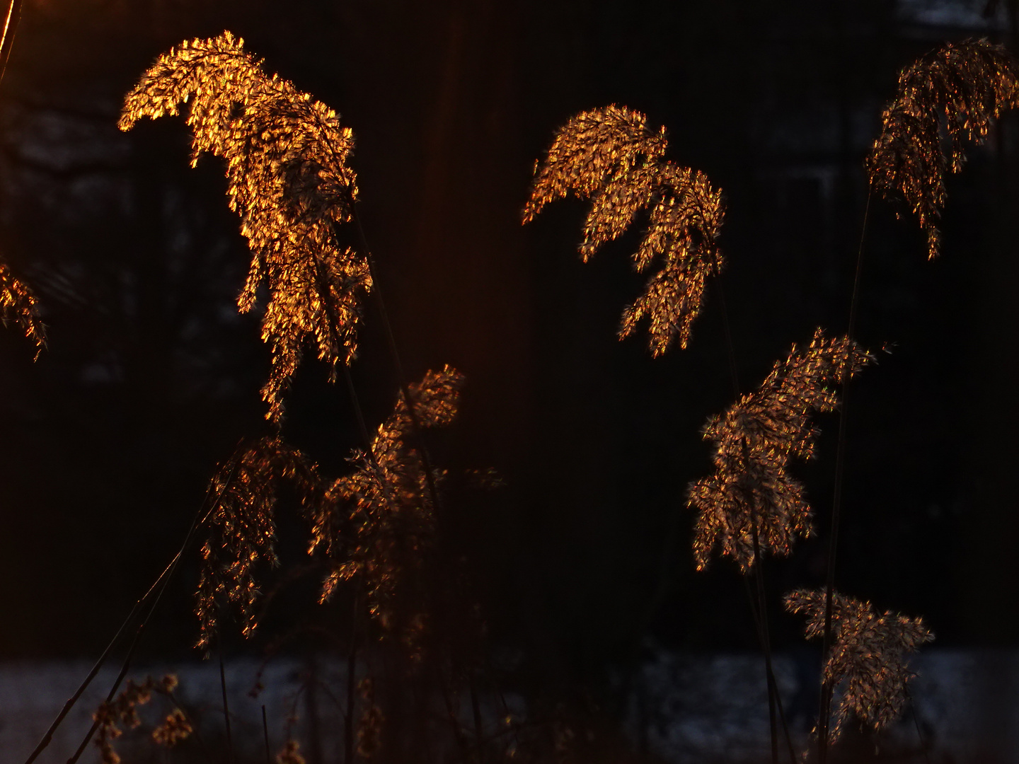 Winterstimmung