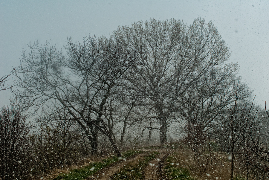 Winterstimmung