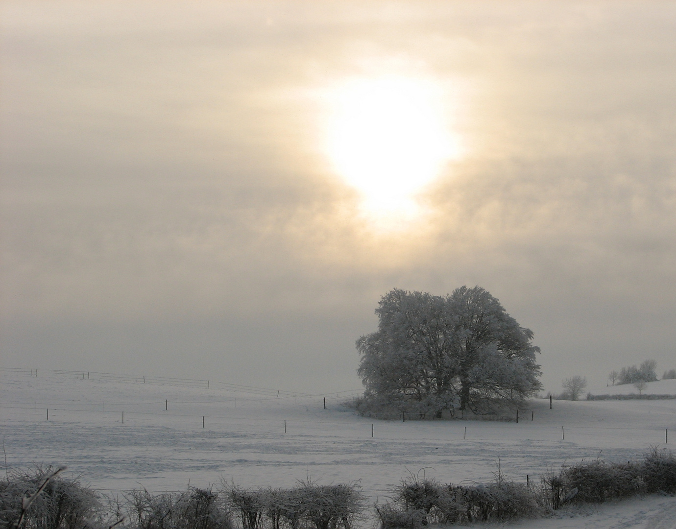 Winterstimmung