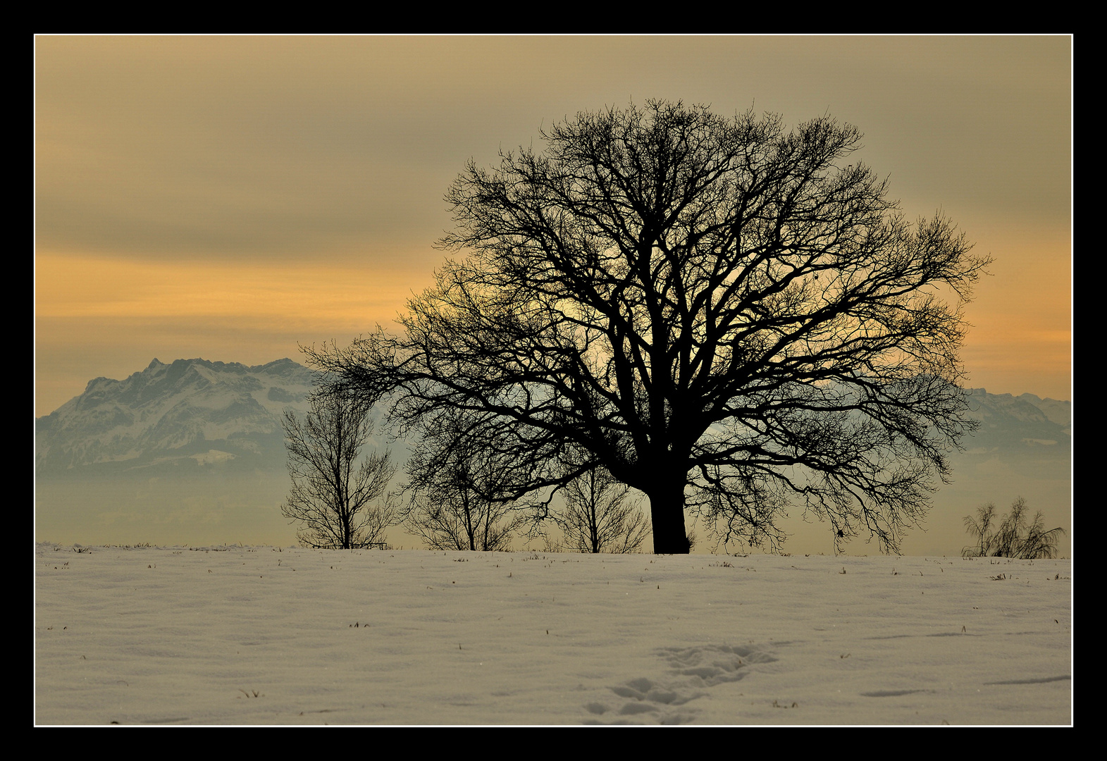 Winterstimmung