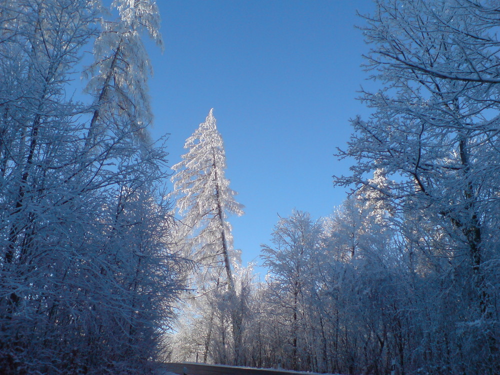 Winterstimmung Girenbad 2 (Turbental)