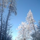 Winterstimmung Girenbad (Turbental)