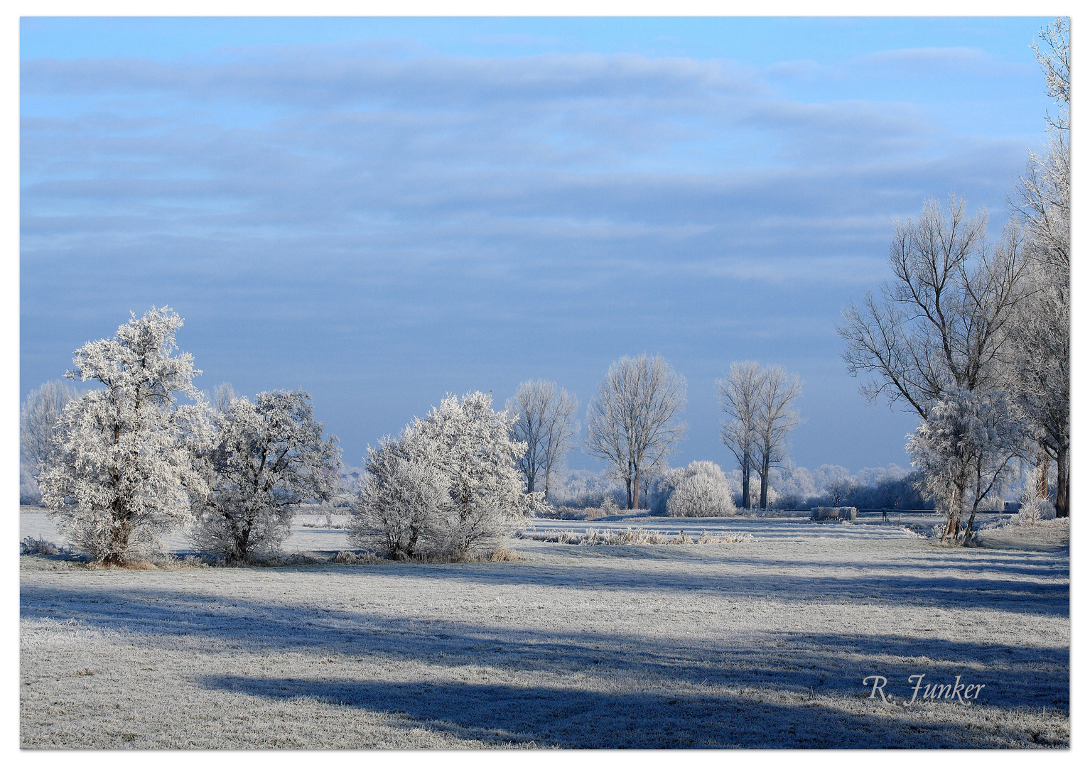 Winterstimmung Hammewiesen