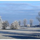 Winterstimmung Hammewiesen