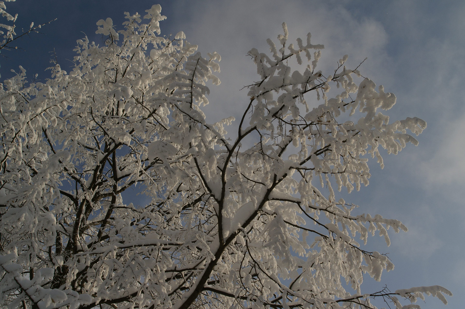 Winterstimmung I