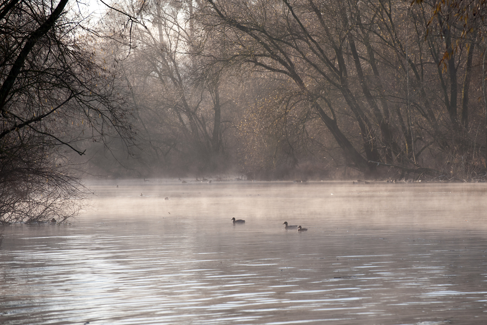 Winterstimmung III.