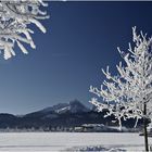 Winterstimmung im Allgäu..