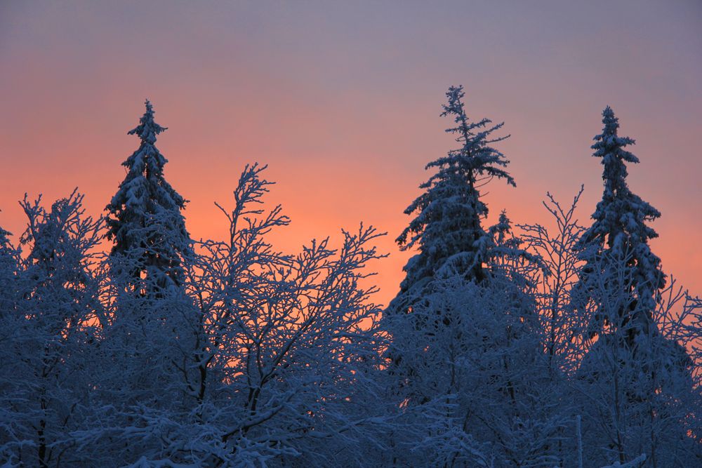 Winterstimmung im Fichtelgebirge