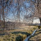 Winterstimmung im Frühling