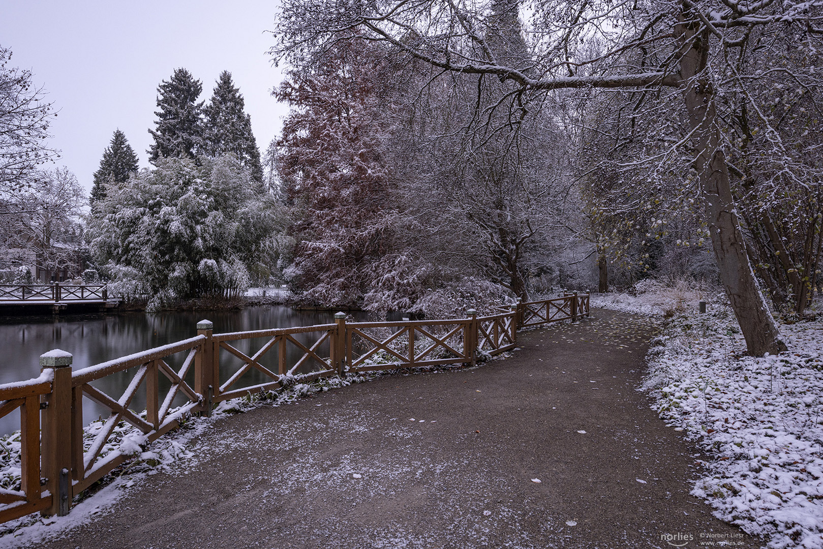 Winterstimmung im Garten