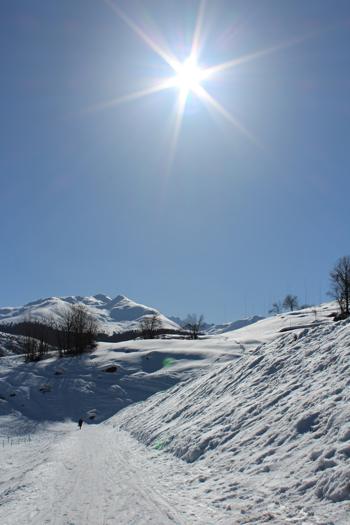 Winterstimmung im gegenlicht