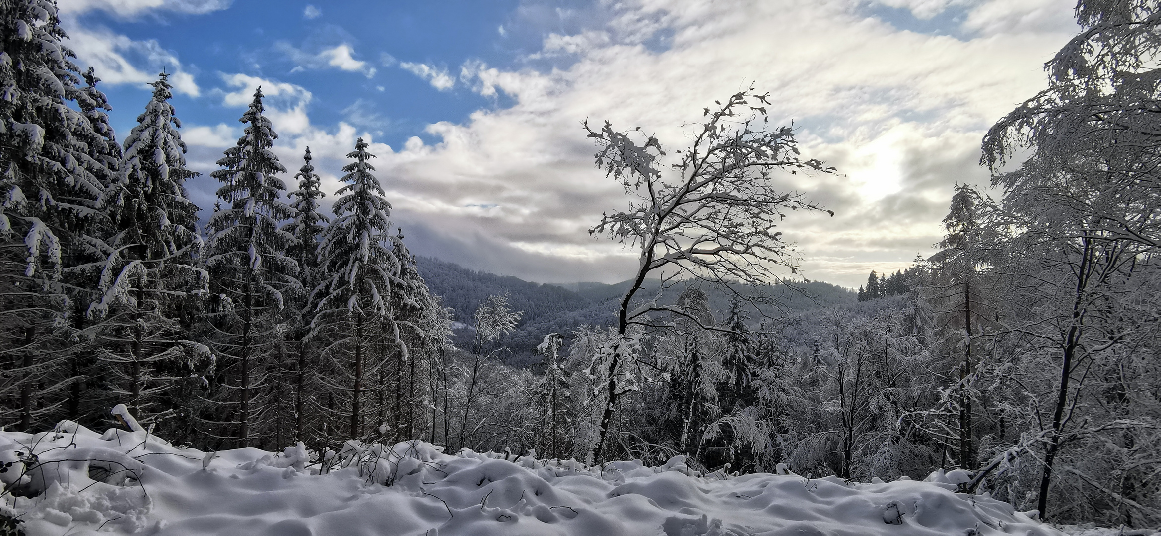 Winterstimmung im Harz