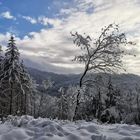 Winterstimmung im Harz