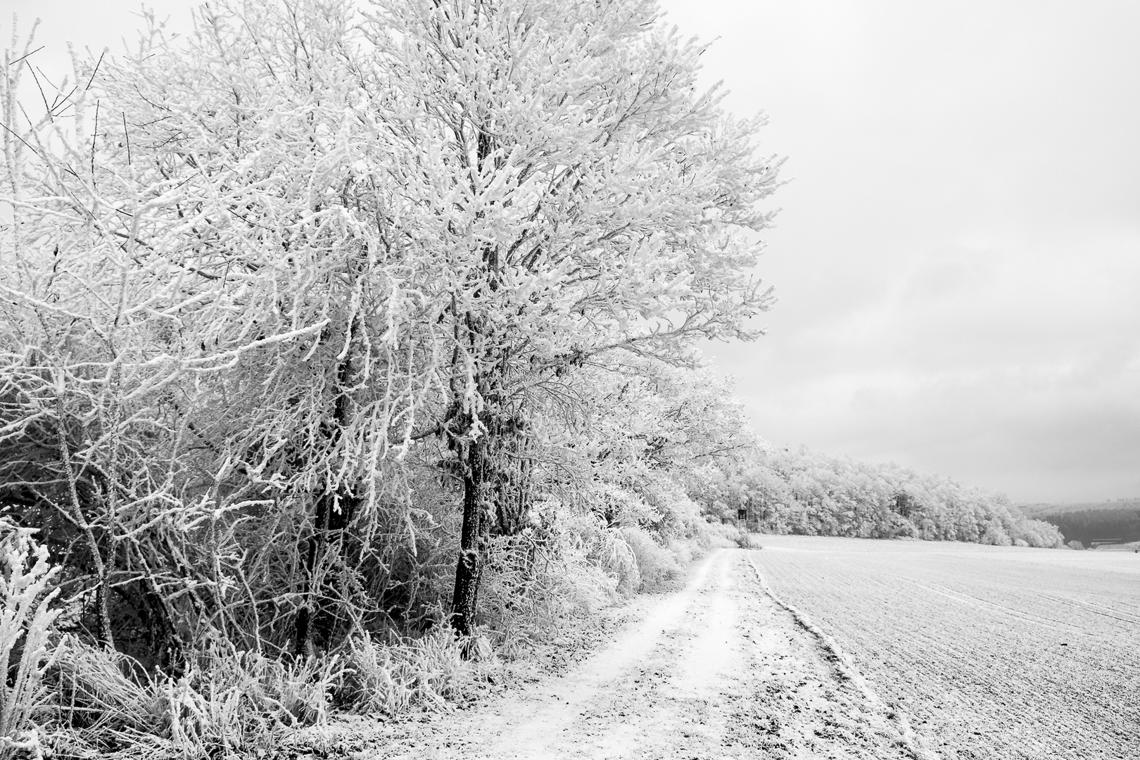 Winterstimmung im Hochland 02