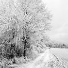 Winterstimmung im Hochland 02