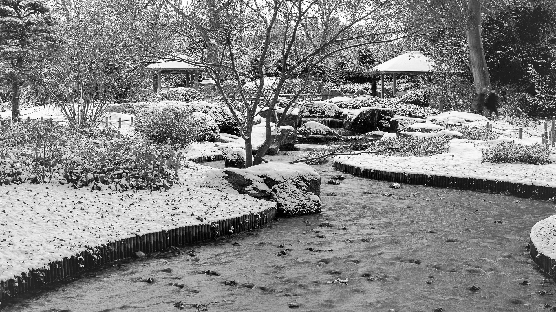  Winterstimmung im Japanischen/Botanischen Garten.